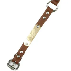 Double Ply 3/4" Wide Leather Dog Collar