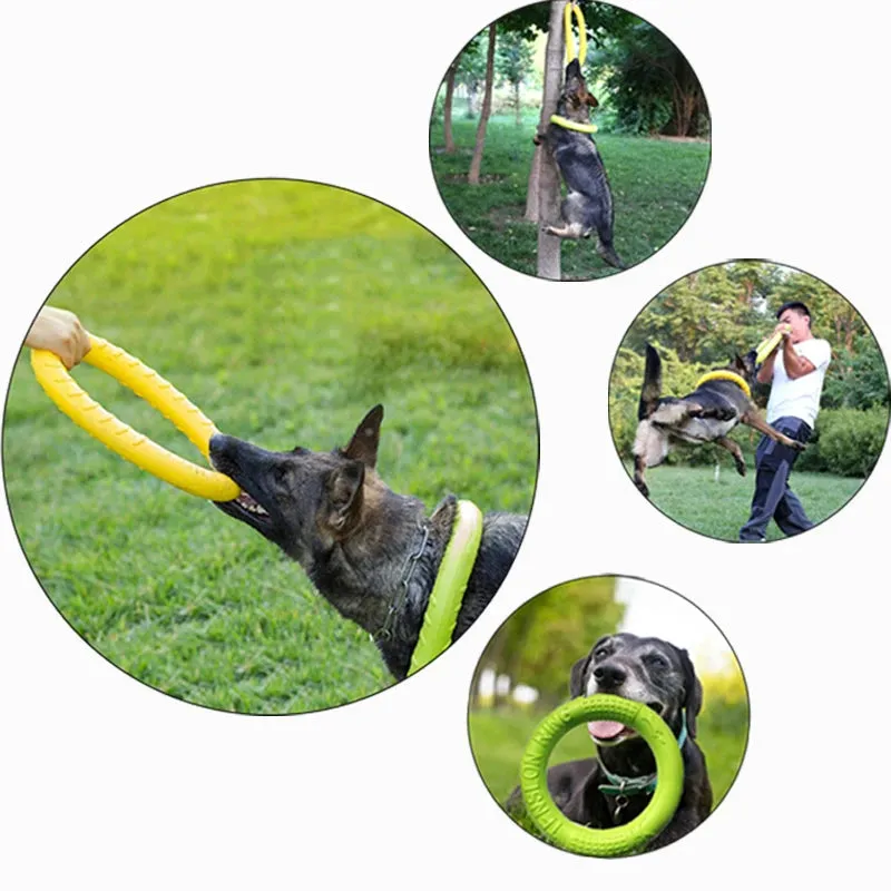 Durable Floating Dog Ring Toy – Anti-Bite EVA Chew & Fetch Ring for Outdoor Interactive Training