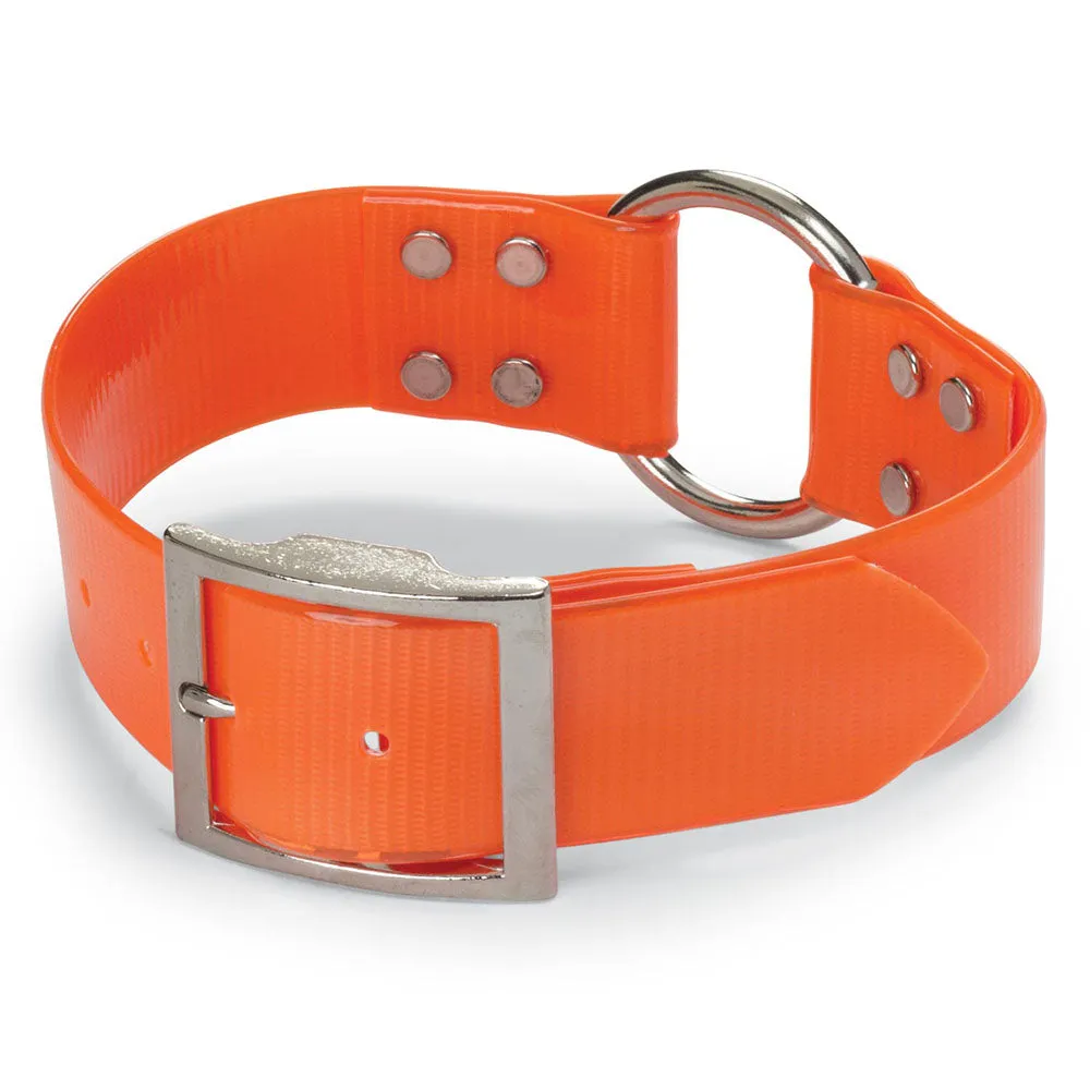 Extra Wide 1 1/2" Day-Glo Dog Collar - Ring-N-Center