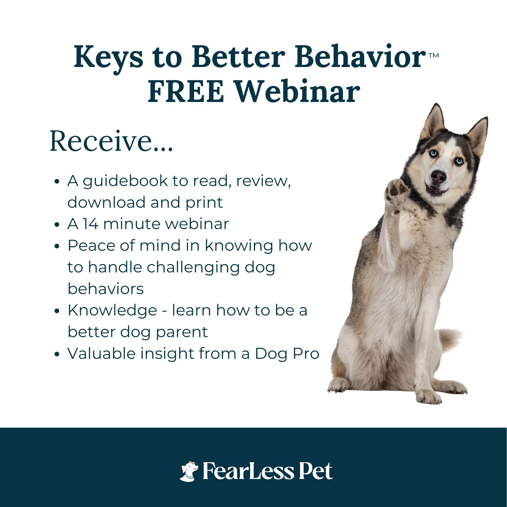 FREE - Keys To Better Dog Behavior