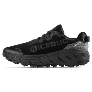 Icebug Arcus 2 BUGrip GTX - Women's