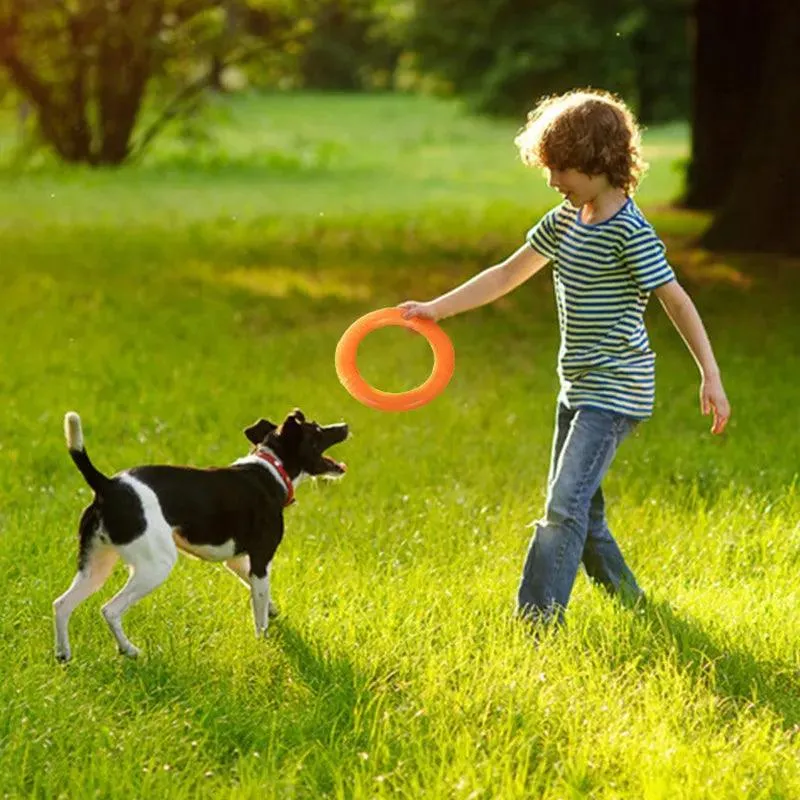 Interactive Dog Toy Flying Disk Training Play