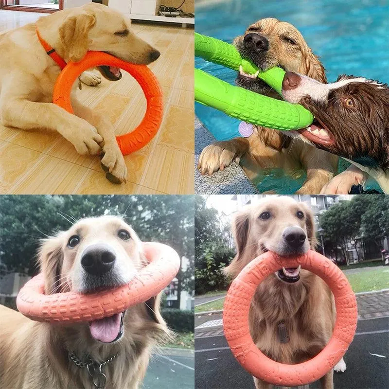 Interactive Dog Toy Flying Disk Training Play