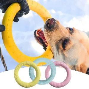 Interactive Dog Toy Flying Disk Training Play