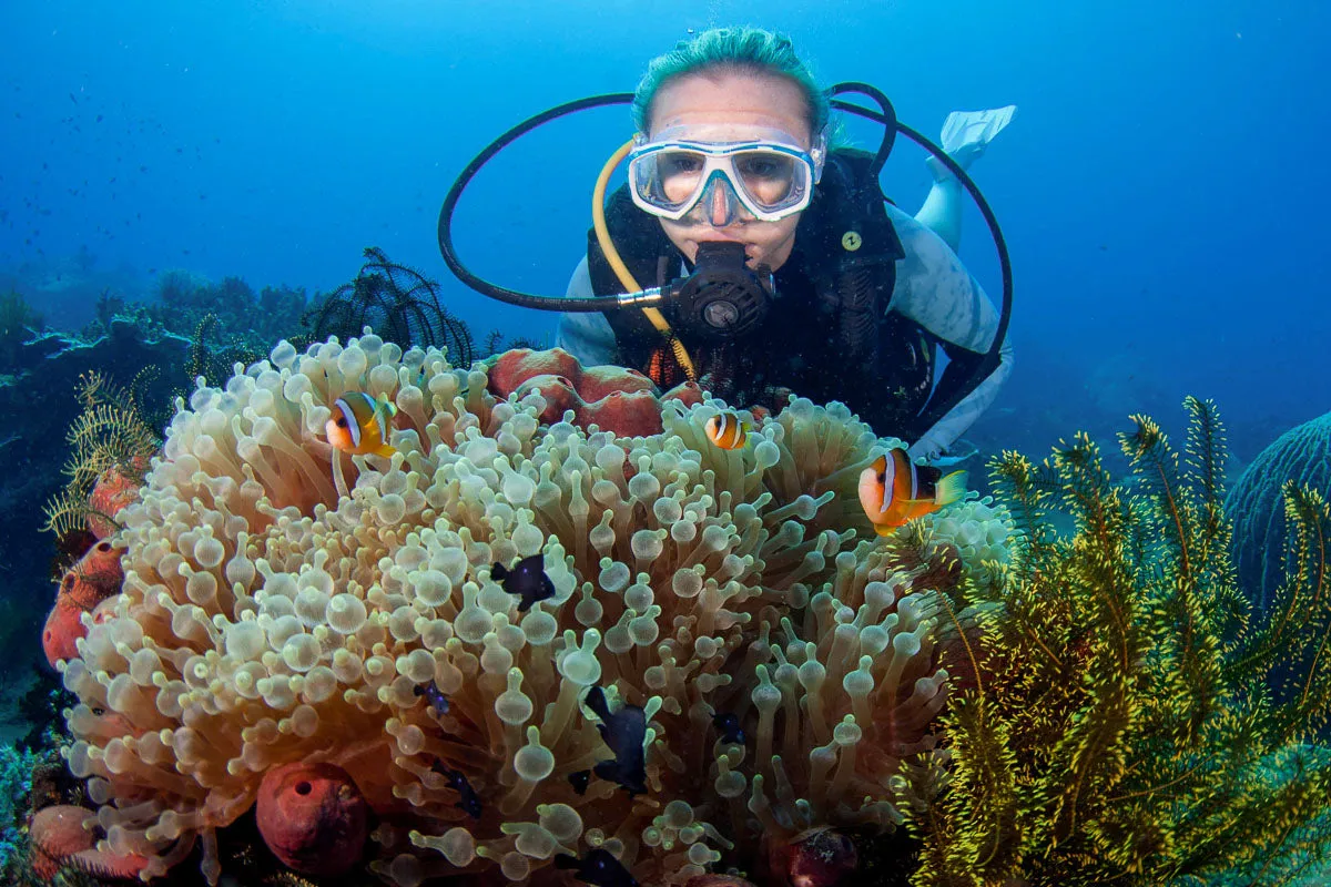 International Open Water Scuba Diving Course