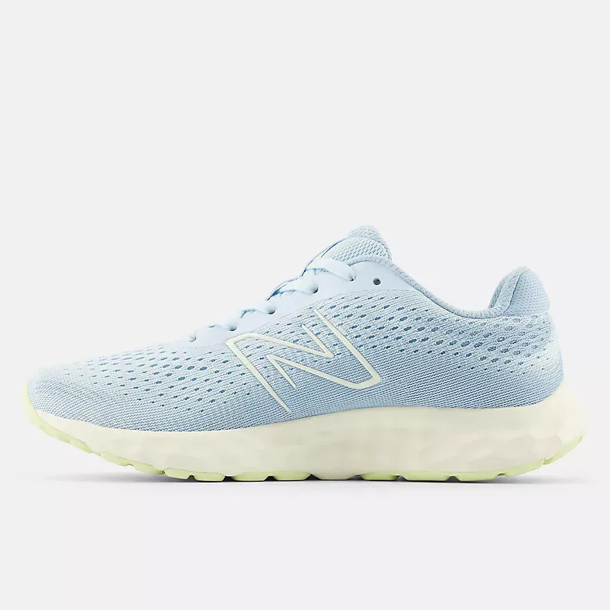 New Balance W520 (D Width) Womens Shoe