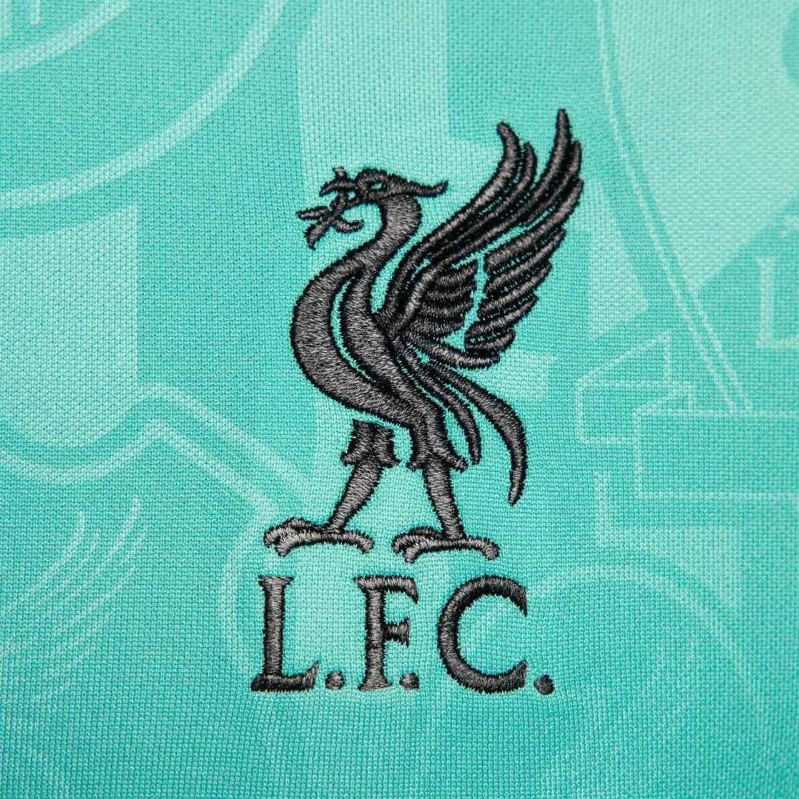 Nike Liverpool FC Academy Pro Pre-Match Away Mens Jersey