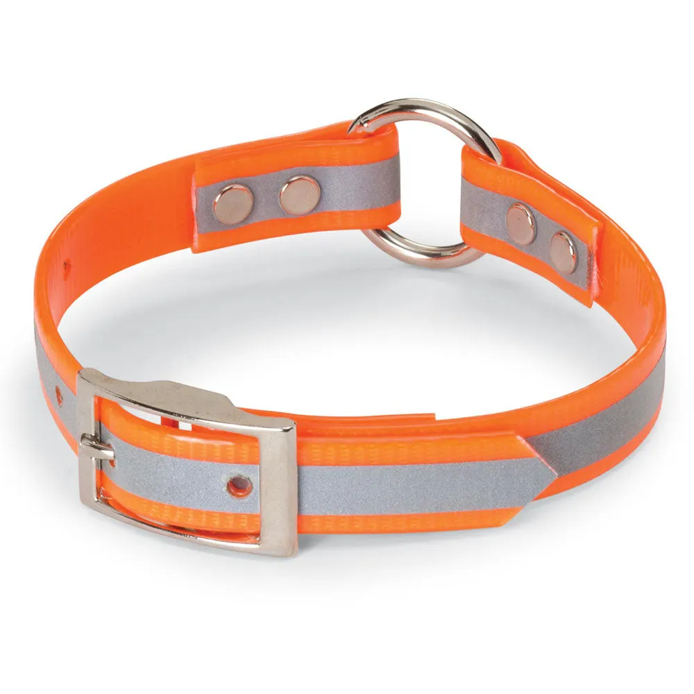 Nite Lite 3/4" Day-Glo Collar Ring-N-Center with Reflective Strip