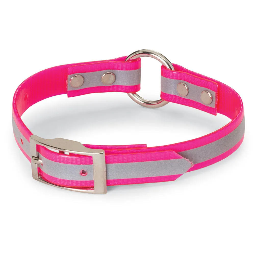 Nite Lite 3/4" Day-Glo Collar Ring-N-Center with Reflective Strip