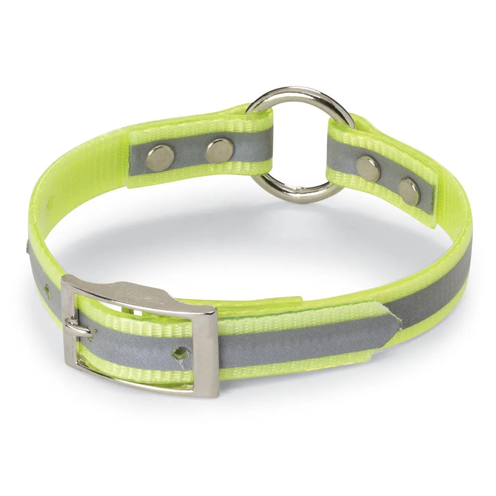 Nite Lite 3/4" Day-Glo Collar Ring-N-Center with Reflective Strip