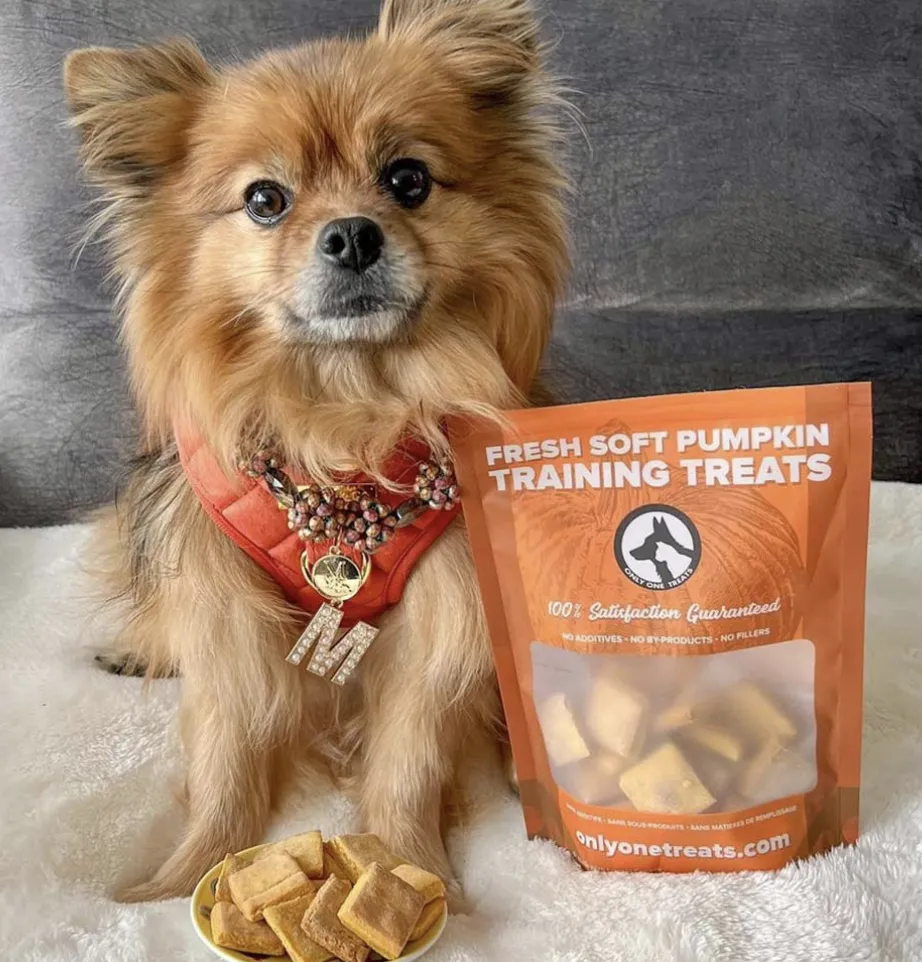 Only One Treats Fresh Soft Pumpkin Training Treats 170g