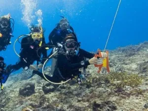 PADI Drift Diver Course