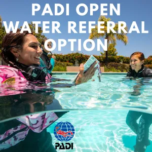 PADI Open Water Course Referral Option (E-Learning And Pool Only)