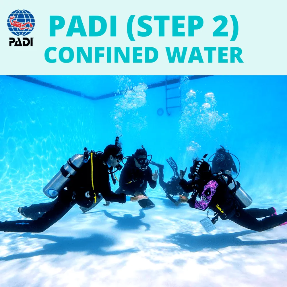 PADI OWSD (Step 2) Confined Water Training w/ Free PADI AWARE Specialty