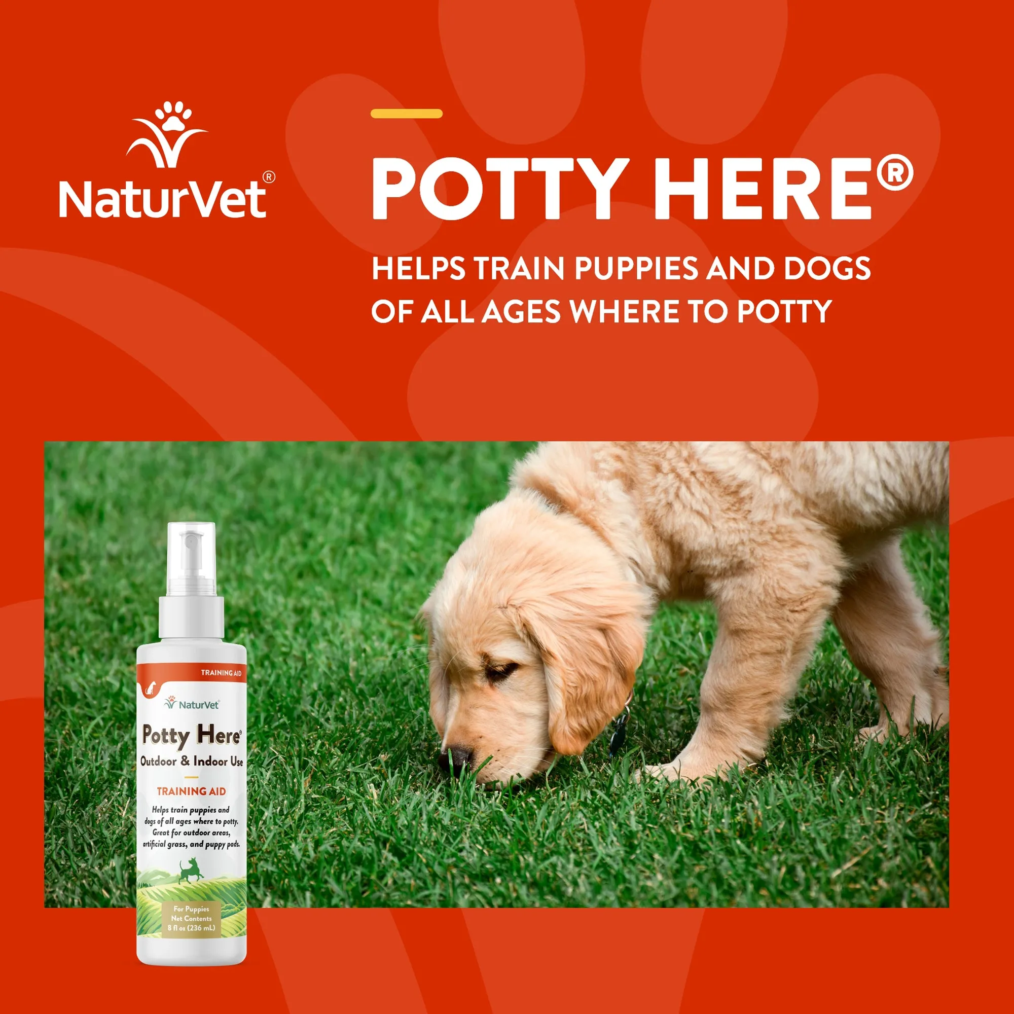 Potty Here® Training Aid Spray