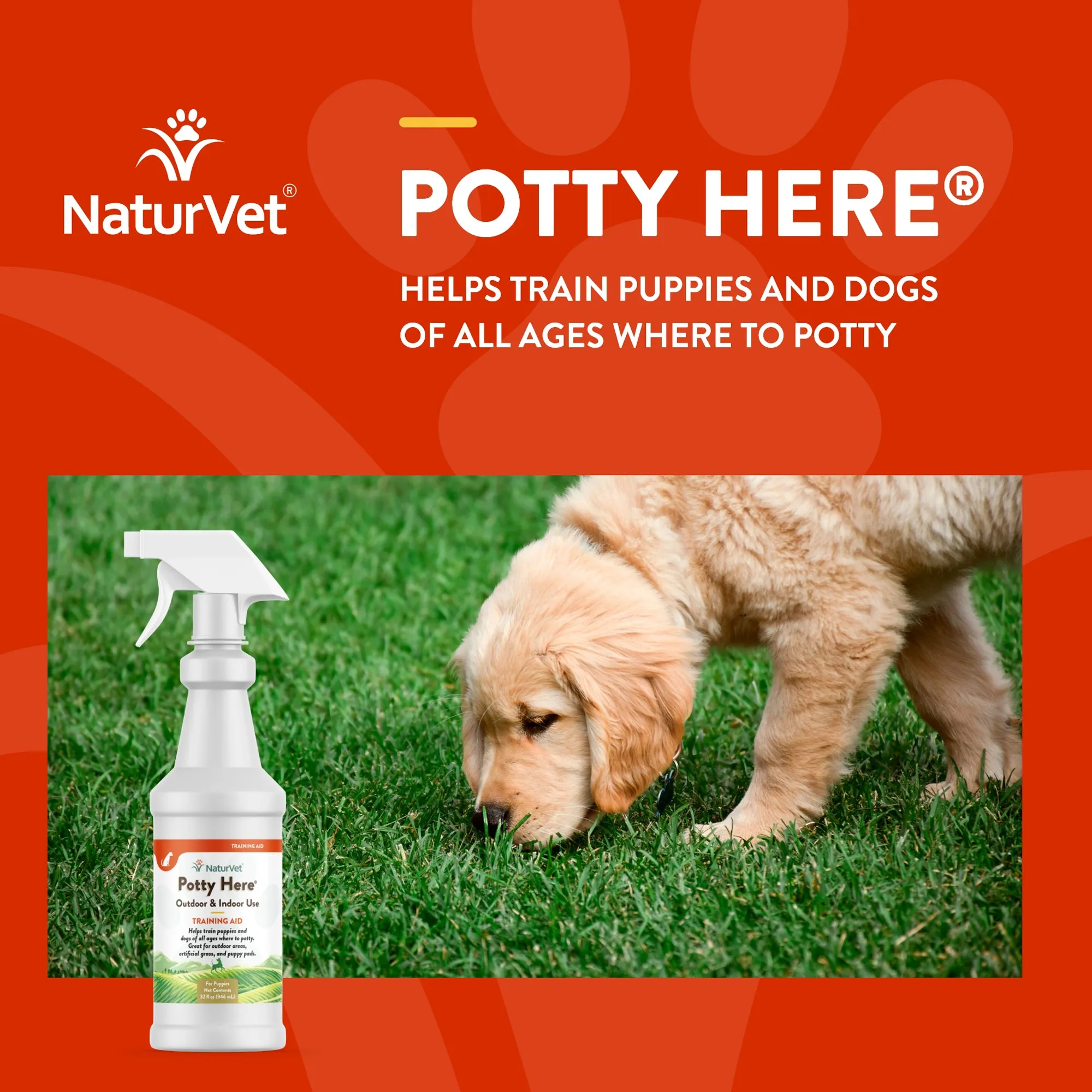 Potty Here® Training Aid Spray