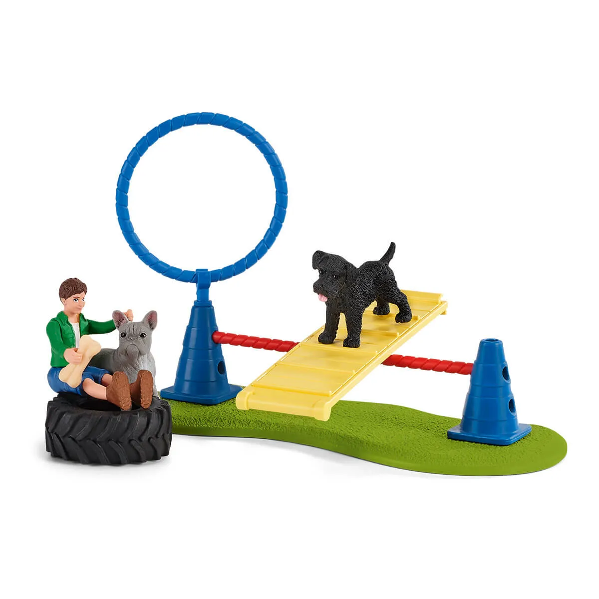 Puppy Agility Training