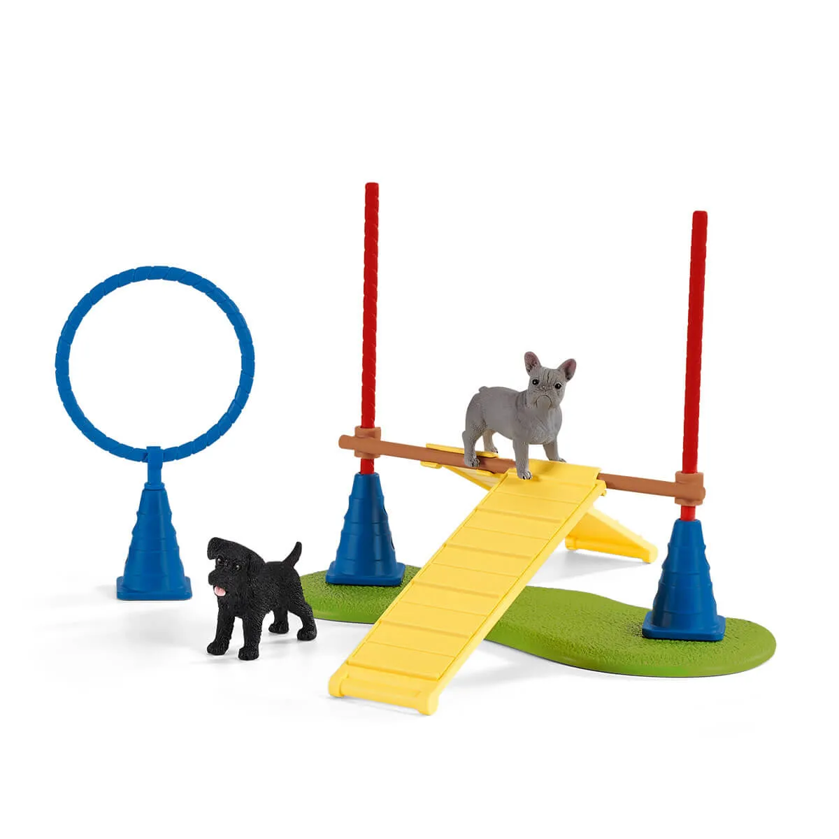 Puppy Agility Training