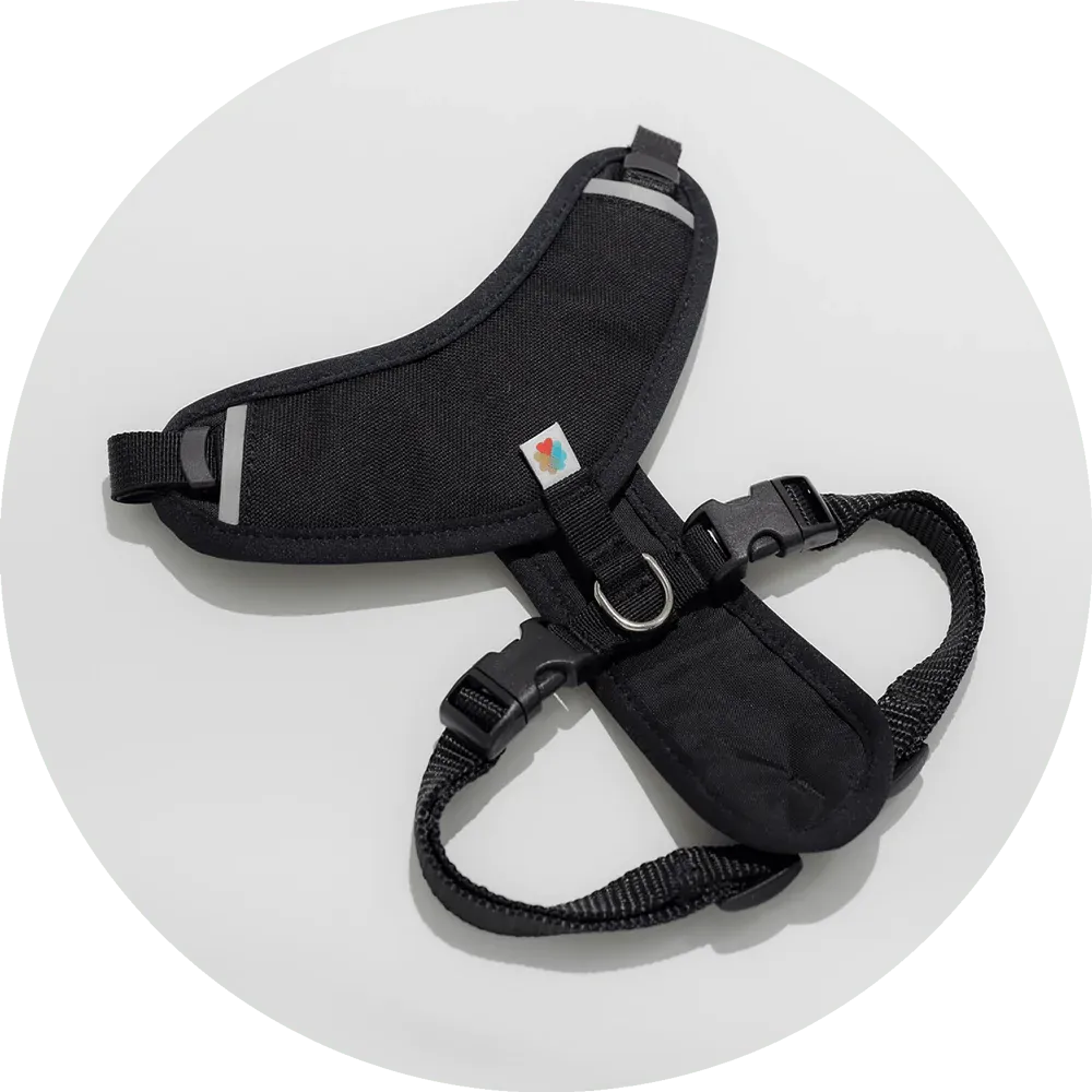 Sutro Snug Fit Dog Harness