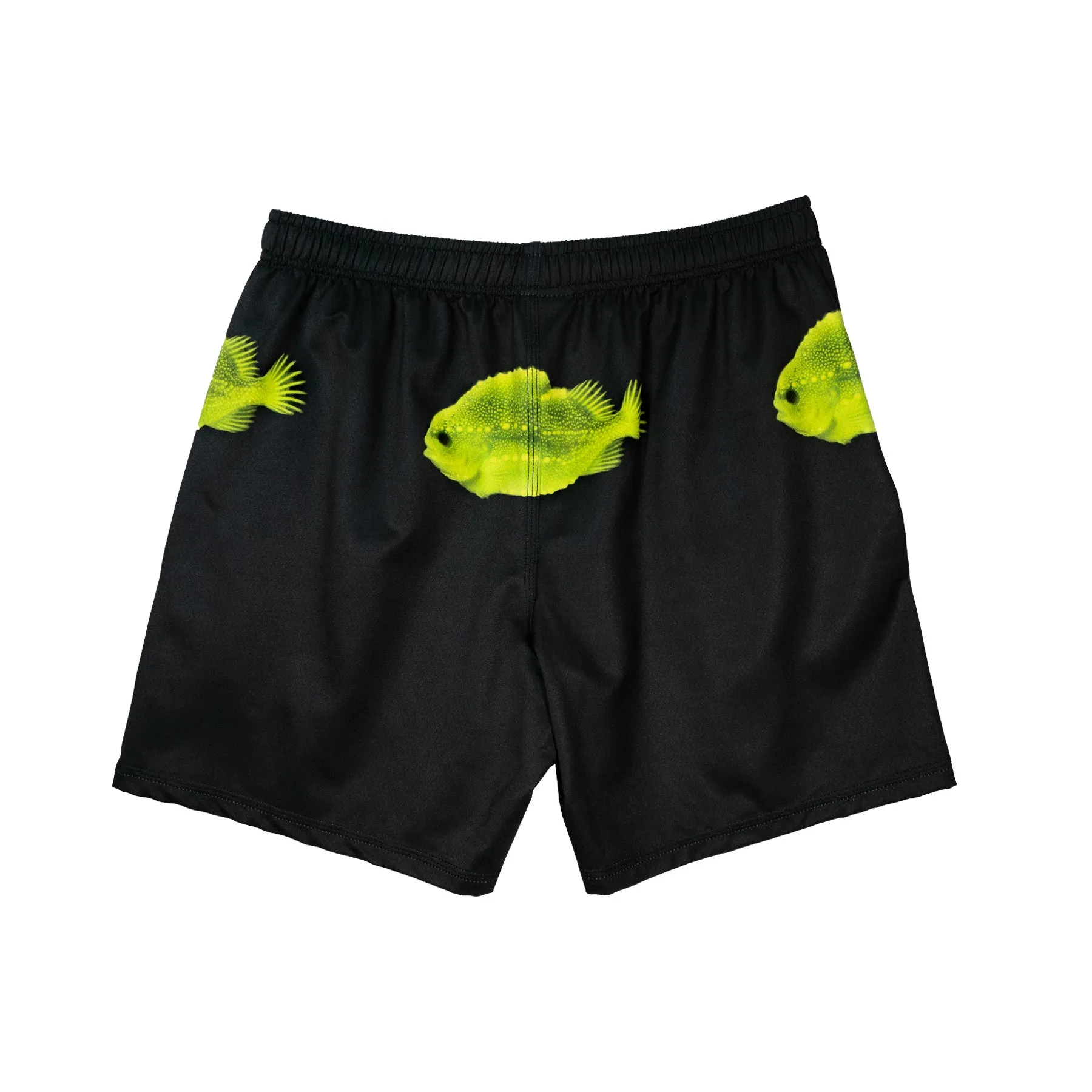 Water Training Shorts